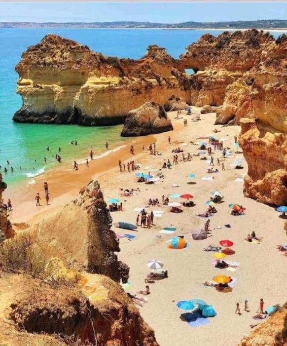 Quinta Chalet Alcantarilha Dış mekan fotoğraf