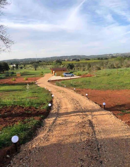 Quinta Chalet Alcantarilha Dış mekan fotoğraf