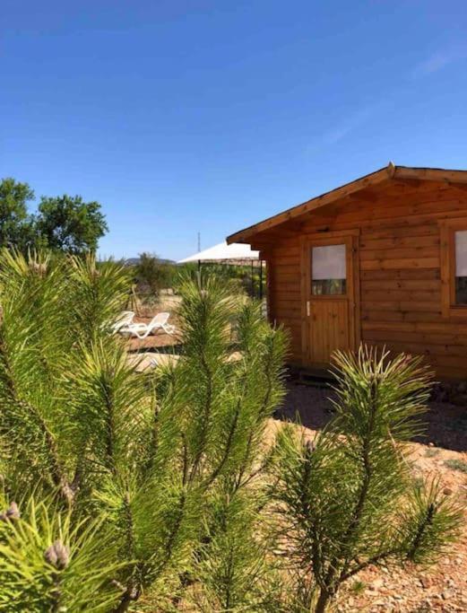 Quinta Chalet Alcantarilha Dış mekan fotoğraf
